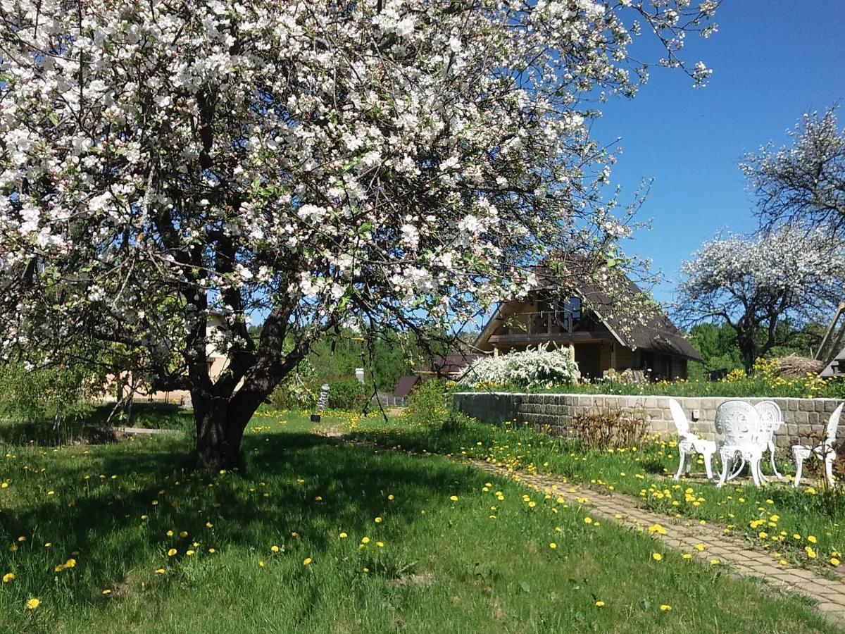 Dikisi Villa Даугавпилс Екстериор снимка
