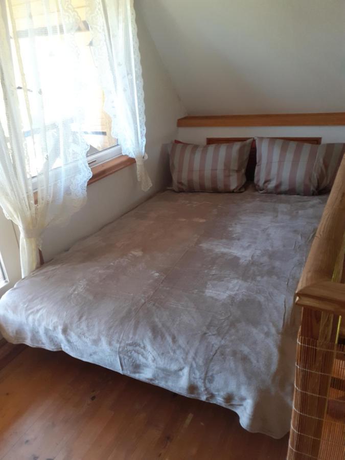 Dikisi Villa Даугавпилс Екстериор снимка
